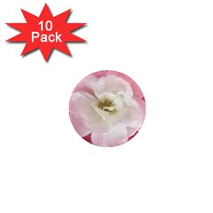 White Rose With Pink Leaves Around  1  Mini Button Magnet (10 Pack) by dflcprints