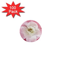 White Rose With Pink Leaves Around  1  Mini Button Magnet (100 Pack) by dflcprints