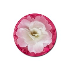 White Rose With Pink Leaves Around  Drink Coasters 4 Pack (round) by dflcprints