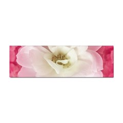 White Rose With Pink Leaves Around  Bumper Sticker by dflcprints