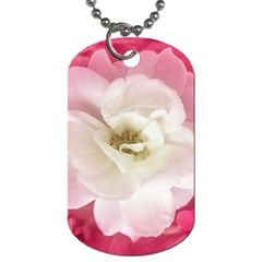 White Rose With Pink Leaves Around  Dog Tag (two-sided)  by dflcprints