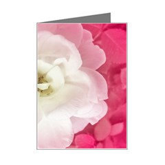 White Rose With Pink Leaves Around  Mini Greeting Card by dflcprints