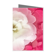 White Rose With Pink Leaves Around  Mini Greeting Card (8 Pack) by dflcprints