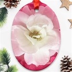 White Rose with Pink Leaves Around  Oval Ornament (Two Sides) Front