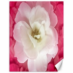 White Rose With Pink Leaves Around  Canvas 12  X 16  (unframed) by dflcprints