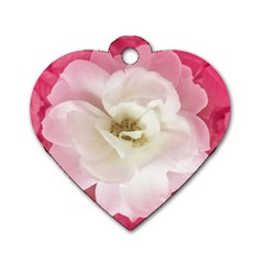 White Rose With Pink Leaves Around  Dog Tag Heart (one Sided)  by dflcprints