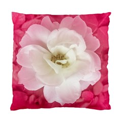 White Rose With Pink Leaves Around  Cushion Case (two Sided)  by dflcprints