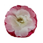 White Rose with Pink Leaves Around  15  Premium Round Cushion  Front