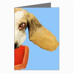 Flighty Greeting Card (8 Pack) by AnimalsLol