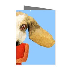 Flighty Mini Greeting Card (8 Pack) by AnimalsLol