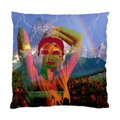 Fusion With The Landscape Cushion Case (two Sided)  by icarusismartdesigns