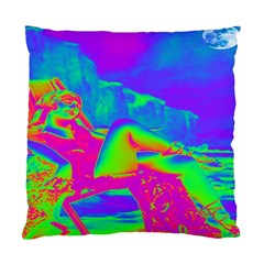 Seaside Holiday Cushion Case (two Sided)  by icarusismartdesigns