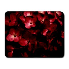 Red Flowers Bouquet In Black Background Photography Small Mouse Pad (rectangle) by dflcprints