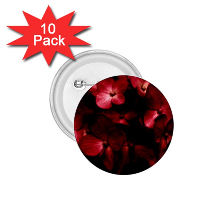 Red Flowers Bouquet in Black Background Photography 1.75  Button (10 pack)