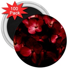 Red Flowers Bouquet In Black Background Photography 3  Button Magnet (100 Pack) by dflcprints