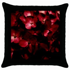 Red Flowers Bouquet In Black Background Photography Black Throw Pillow Case by dflcprints