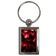 Red Flowers Bouquet In Black Background Photography Key Chain (rectangle) by dflcprints