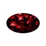 Red Flowers Bouquet in Black Background Photography Sticker (Oval) Front