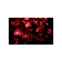 Red Flowers Bouquet In Black Background Photography Sticker (rectangle) by dflcprints