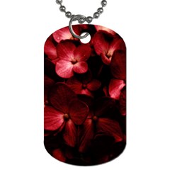 Red Flowers Bouquet In Black Background Photography Dog Tag (one Sided) by dflcprints