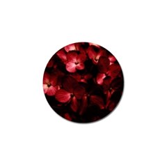 Red Flowers Bouquet In Black Background Photography Golf Ball Marker by dflcprints