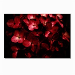 Red Flowers Bouquet In Black Background Photography Postcard 4 x 6  (10 Pack) by dflcprints