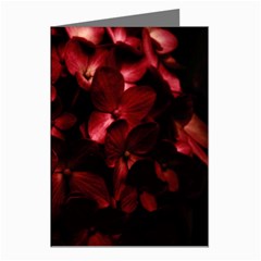 Red Flowers Bouquet In Black Background Photography Greeting Card (8 Pack) by dflcprints