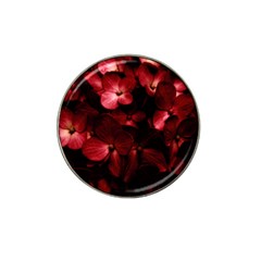 Red Flowers Bouquet In Black Background Photography Golf Ball Marker 10 Pack (for Hat Clip) by dflcprints