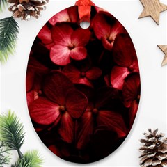 Red Flowers Bouquet In Black Background Photography Oval Ornament (two Sides) by dflcprints