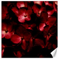 Red Flowers Bouquet In Black Background Photography Canvas 20  X 20  (unframed) by dflcprints