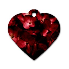 Red Flowers Bouquet In Black Background Photography Dog Tag Heart (one Sided)  by dflcprints