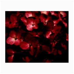 Red Flowers Bouquet In Black Background Photography Glasses Cloth (small, Two Sided) by dflcprints