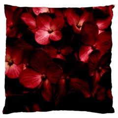 Red Flowers Bouquet In Black Background Photography Large Cushion Case (single Sided)  by dflcprints