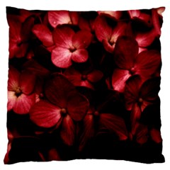 Red Flowers Bouquet In Black Background Photography Large Flano Cushion Case (two Sides) by dflcprints