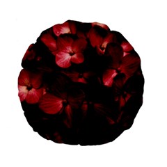 Red Flowers Bouquet In Black Background Photography 15  Premium Flano Round Cushion  by dflcprints