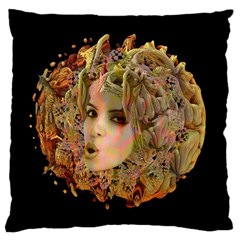 Organic Planet Standard Flano Cushion Case (two Sides) by icarusismartdesigns