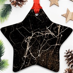 Spider Web Print Grunge Dark Texture Star Ornament (two Sides) by dflcprints