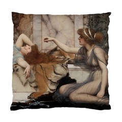 Godwardmischiefandanonipad Cushion Case (single Sided)  by AnonMart