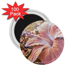 Fantasy Colors Hibiscus Flower Digital Photography 2 25  Button Magnet (100 Pack) by dflcprints