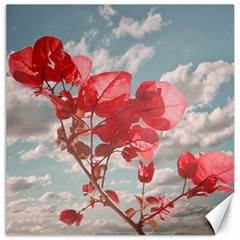 Flowers In The Sky Canvas 12  X 12  (unframed) by dflcprints