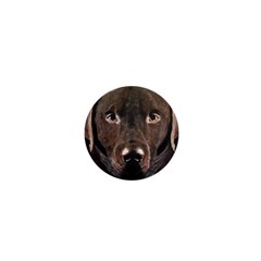 Chocolate Lab 1  Mini Button Magnet