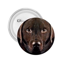 Chocolate Lab 2 25  Button