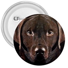 Chocolate Lab 3  Button by LabsandRetrievers