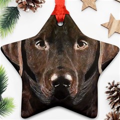 Chocolate Lab Star Ornament by LabsandRetrievers