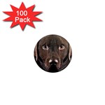 Chocolate Lab 1  Mini Button Magnet (100 pack) Front