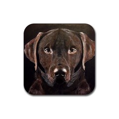 Chocolate Lab Drink Coaster (square) by LabsandRetrievers