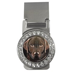 Chocolate Lab Money Clip (cz)