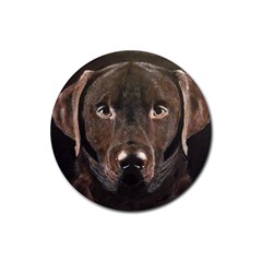 Chocolate Lab Drink Coaster (round) by LabsandRetrievers