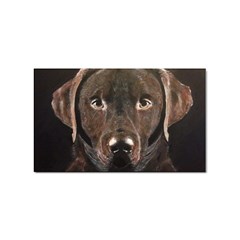 Chocolate Lab Sticker (rectangle) by LabsandRetrievers