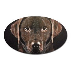 Chocolate Lab Magnet (oval)